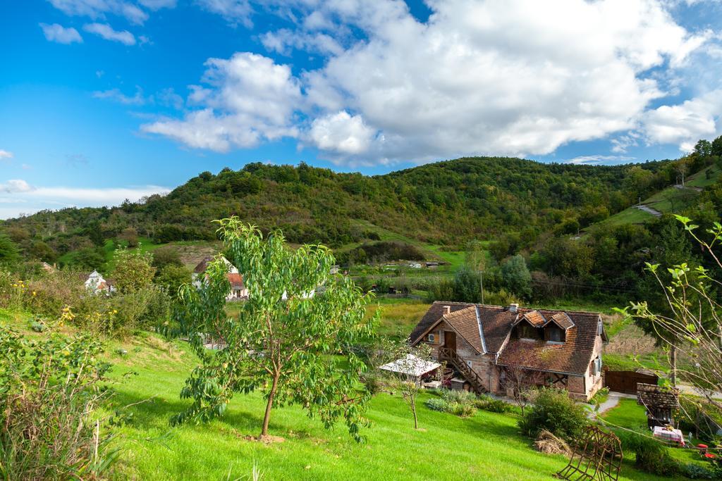 Country House "Stricev Grunt" Stara Kapela Guest House Стая снимка